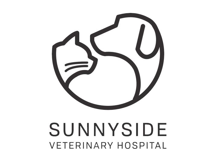 Animal Hospital in Happy Valley, OR | Sunnyside Veterinary Hospital