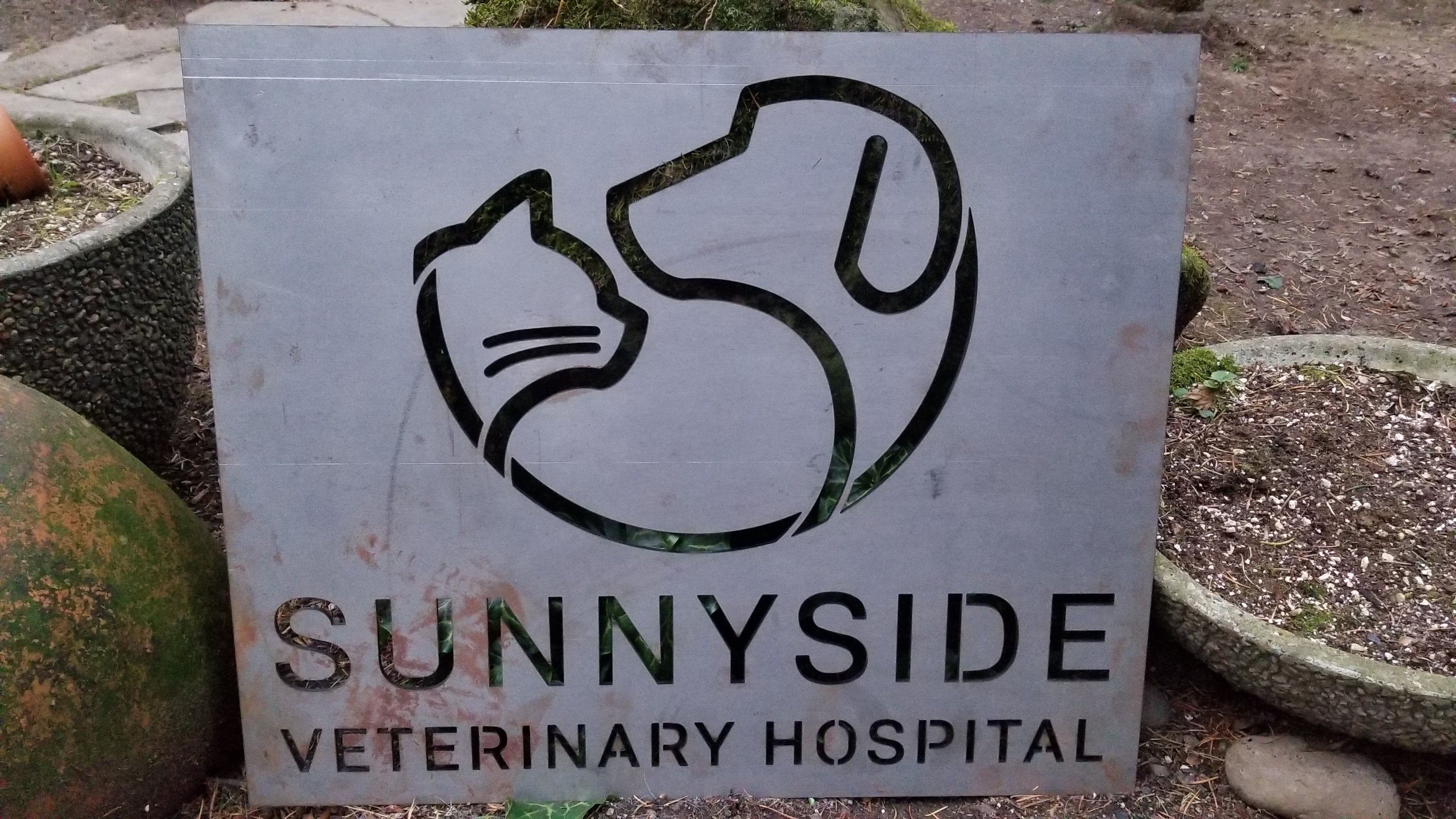 Animal Hospital in Damascus, OR Sunnyside Veterinary Hospital